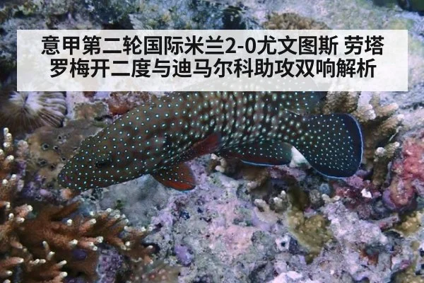 意甲第二轮国际米兰2-0尤文图斯 劳塔罗梅开二度与迪马尔科助攻双响解析