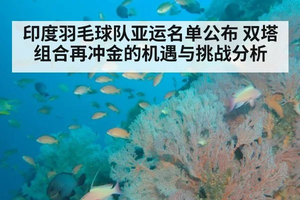 印度羽毛球队亚运名单公布 双塔组合再冲金的机遇与挑战分析